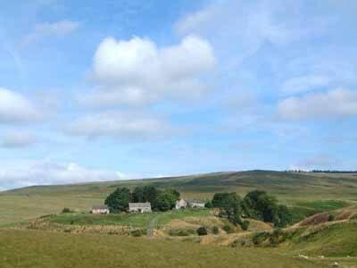 Rowan Cottage-80119 Catcleugh ภายนอก รูปภาพ